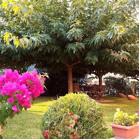 Fani House Apartament Kallithea (Chalkidiki)